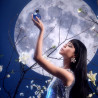 Far Away Beyond the Moon Parfum